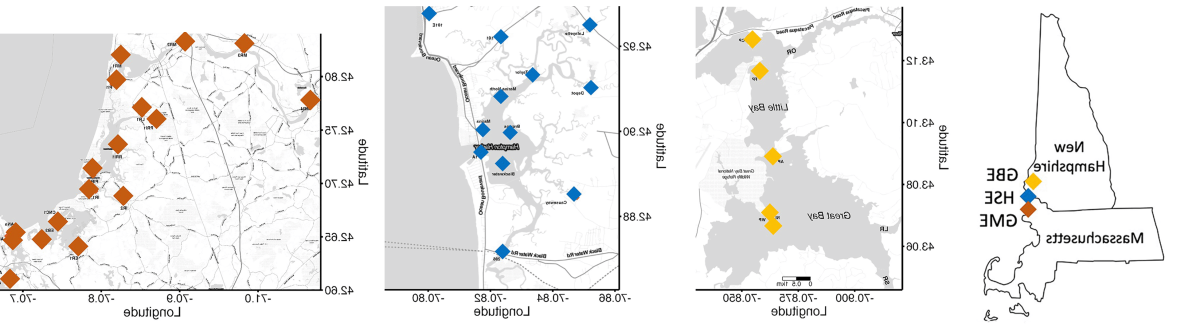 一组四张地图, 从左到右, showing the sites of the three estuaries studied and then showing sampled sites at 大湾 Estuary, 汉普顿-西布鲁克河口, 以及大沼泽河口.